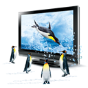 3D - Penguins icon